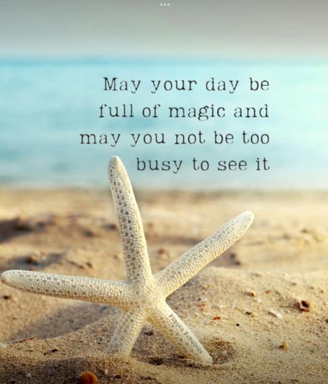 Seashells Quote, Birthday Card Quotes, Saving Motivation, Sea Poems, Sparkle Quotes, Beach Mom, Hugs And Kisses Quotes, Birthday Card Sayings, Girlfriend Quotes