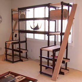 Cat Habitat, Diy Chat, Katt Grejer, Chat Diy, Diy Cat Tree, Cat Towers, Cat Lounge, Cat Playground, Dekorasi Kamar Tidur