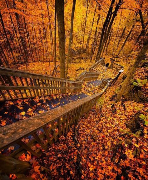 Mono Cliffs Provincial Park, Toronto, Canada - 9GAG Ontario Road Trip, Ontario Travel, Canada Photos, Fall Hiking, Autumn Scenery, Halloween Cookies, Fall Photos, Canada Travel, Fall Leaves