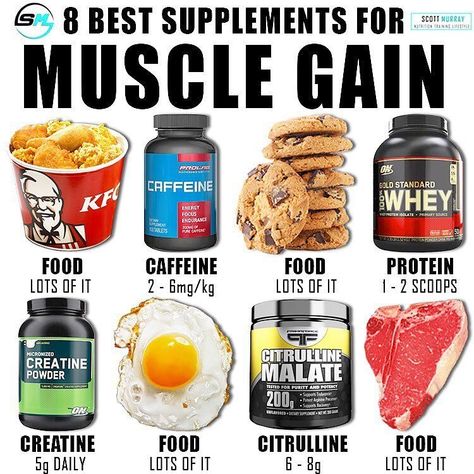 Muscle Gain Diet, Focus Foods, Food To Gain Muscle, Weight Gain Supplements, Muscle Building Foods, Low Carb Snack, Bodybuilding Diet, Gym Food, Muscle Gain