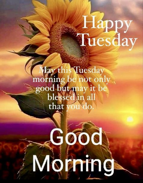 Good Morning Happy Tuesday Blessings, Happy Tuesday Blessings, Tuesday Blessings Mornings, Good Morning Tuesday Blessings, Tuesday Morning Wishes, Tuesday Wishes, Happy Tuesday Pictures, Good Morning Happy Tuesday, Happy Tuesday Images