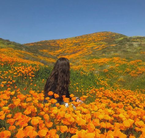 Person In Field Of Flowers, Sitting In A Field Of Flowers, Person Sitting In Flower Field, Standing In A Field Of Flowers, People In Flower Fields, Running In A Field Of Flowers Aesthetic, Person Laying In Flower Field, Running Through Flower Field Aesthetic, Person In Flower Field