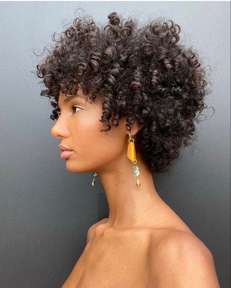 Short 3b Haircuts, Afro Bob Hairstyles Curly Hair, Short Curly Haircuts Type 3, Short Deva Curl Haircut, Afro Pixie Haircut 4c, Very Short Curly Hair With Bangs, Short Naturally Curly Haircuts, Pixie Cut Curly Hair Black Women, 4a Pixie Cut