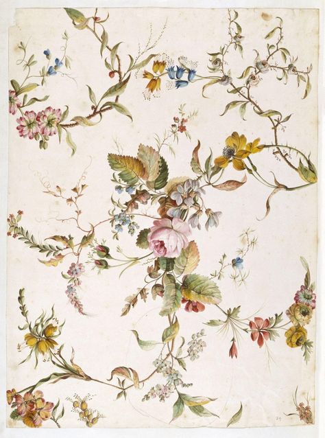 Design | Kilburn, William | V&A Explore The Collections Bethnal Green, Drawing Studies, National Art, Different Flowers, Victoria And Albert, Victoria And Albert Museum, Make Design, Botanical Illustration, Textile Prints