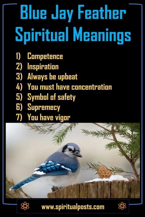 Stellar Jay Spiritual Meaning, Blue Jay Feather, Animal Totem Spirit Guides, Feather Meaning, Feather Symbolism, Spirit Animal Meaning, Animal Meanings, Home Health Remedies, Blue Feather