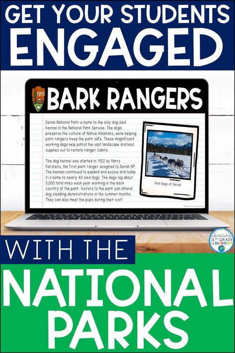 National Park Classroom Theme, National Park Classroom, Travel Classroom, Adventure Classroom, Elementary Social Studies Lessons, Park Reading, School Wide Themes, Park Project, Camp Theme