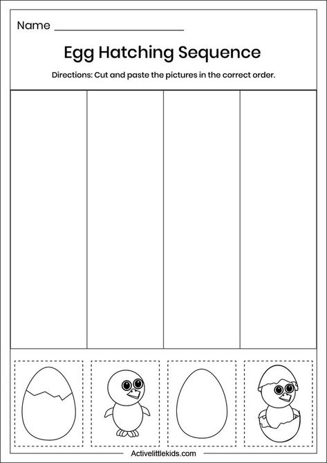 Sequencing worksheets for kindergarten for free download. Sequence Worksheet, Egg Hatching, Sequencing Worksheets, Worksheets For Kindergarten, Kindergarten Science, Kindergarten Worksheets, Kindergarten, Improve Yourself