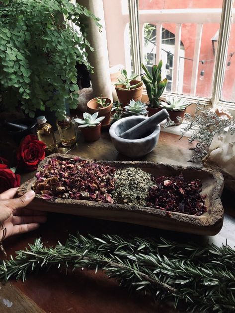 Apothecary Dining Room, Apothecary Set Up, Dark Apothecary Aesthetic, Greenhouse Apothecary, Apothecary Esthetics, Vintage Apothecary Aesthetic, At Home Apothecary, Apothecary Station, Moody Apothecary