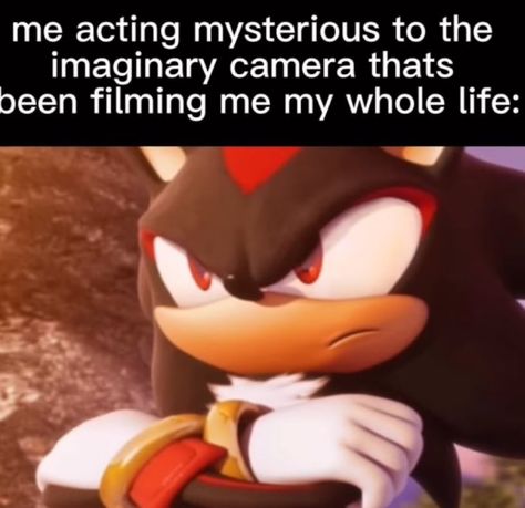 Me Acting Mysterious, My Whole Life, Dear Diary, Sonic, Acting, Film, Quick Saves