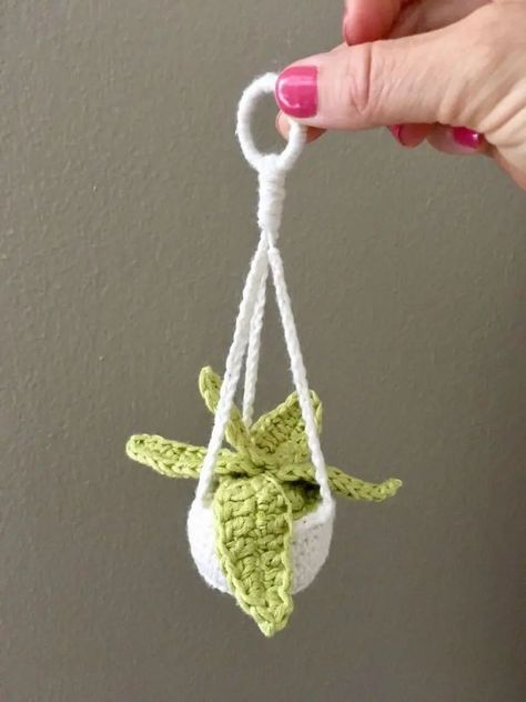 Crochet Succulent, Crochet Plant Hanger, Desain Tote Bag, Mini Plant, Crochet Cactus, Mode Crochet, Hanger Design, Crochet Plant, Mini Plants