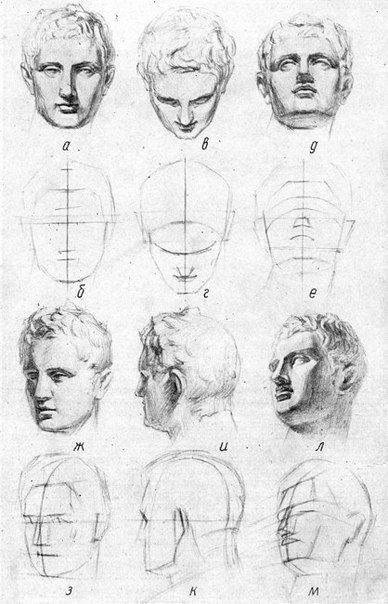 Draw Head, 얼굴 드로잉, Human Anatomy Drawing, Seni Dan Kraf, Human Anatomy Art, Anatomy Sketches, Drawing Studies, 캐릭터 드로잉, Anatomy Drawing