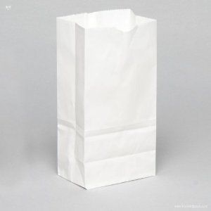 For wedding favors Amazon.com: 2 lb. Recycled White Paper Bag - 500 per pack: Health & Personal Care Best Reusable Grocery Bags, Dance Decorations, Paper Lunch Bags, Retail Bags, Rainbow Bag, Merchandise Bags, Store Fixtures, Reusable Shopping Bags, Kraft Paper