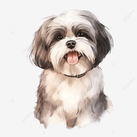 Watercolour Dogs, Laugh Cartoon, Cute Shih Tzu, Perro Shih Tzu, Dog Character, Transparent Watercolor, Poodle Puppies, Transparent Image, Shih Tzu Dog