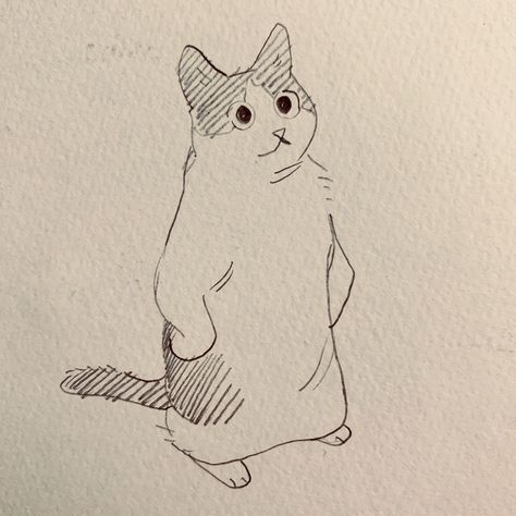 fenkko 🐳 on Twitter: "sometimes i catch my cat standing like this and it’s very good… " Art Drawings Sketches Animals, Anime Cat Sketch, Cat Sketches Cute, Cat Art Tutorials, Art Inspiration Drawing Sketches Doodles, Cat Sketch Cute, Cat Standing Up Drawing, Art Sketches Cat, Cat Standing Drawing