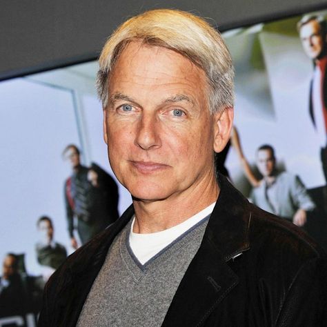 Mark Harmon sets the record straight with new details of NCIS departure: 'I was just tired' | HELLO! Michael Weatherly Wife, Michael Weatherly Tony Dinozzo, Clayton Reeves Ncis, Michael Weatherly Ncis, Dwayne Pride Ncis New Orleans, Ncis New Orleans Funny, Timothy Mcgee, Ncis Stars, Sean Murray