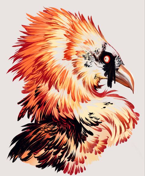 Bearded Vulture, Creature Drawings, Pretty Animals, Mythical Creatures Art, Creature Concept Art, Animal Sketches, Color Lines, Funky Art, Creature Design