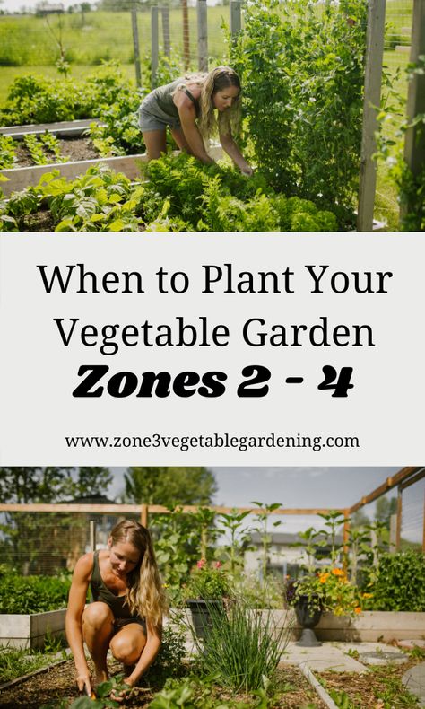 Zone 2 Vegetable Garden, Zone 4 Vegetable Garden, Alaska Vegetable Garden, Zone 4b Vegetable Gardening, Zone 2 Gardening, Zone 3 Vegetable Garden, Zone 3 Gardening Canada, Zone 3 Landscaping, Zone 4 Landscaping