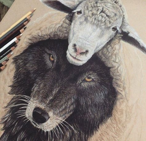 Lobo vestido de oveja Wolf In Sheeps Clothing, Sheep Tattoo, Wolf Tattoo Sleeve, Sheep Clothing, Sheep Art, Wolf Tattoos, Dog Tattoo, A Wolf, Wolf Art