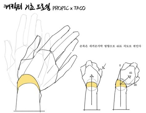 The hand rotates on an angle from the wrist joint. Taco Drawing, Concept Drawing, Draw Hands, Anatomy Tutorial, Hand Drawing Reference, Hand Reference, Body Reference Drawing, Anatomy Drawing, Figure Drawing Reference