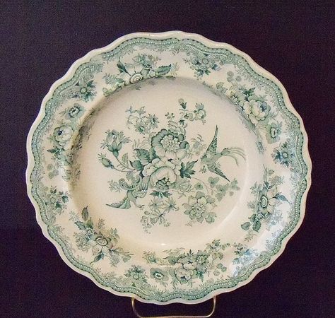 Manufacturer: STAFFORDSHIRE - Pattern: Asiatic Pheasants - Color: Green transferware - Dinner Plate Green Ceramic Plates, Green Transferware, Kitchen Shelf Inspiration, Green China, Miniature Plates, Kitchen Plate, Transferware Plate, Old Plates, Green Pottery