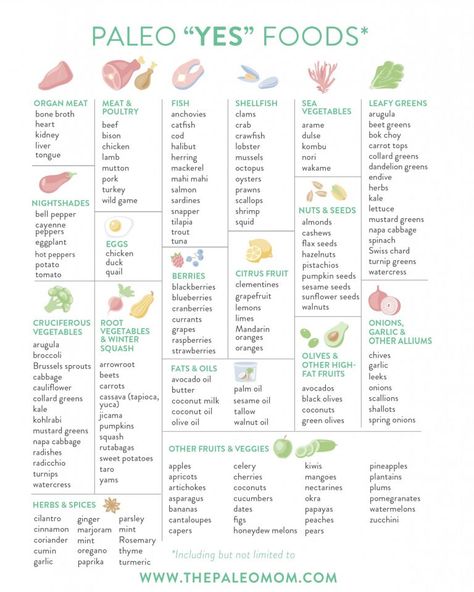 Starting Paleo Diet, Practical Paleo, Paleo Food List, Paleo Diet For Beginners, The Paleo Mom, Paleo Diet Meal Plan, Paleo Mom, Paleo Diet Plan, Paleo Life