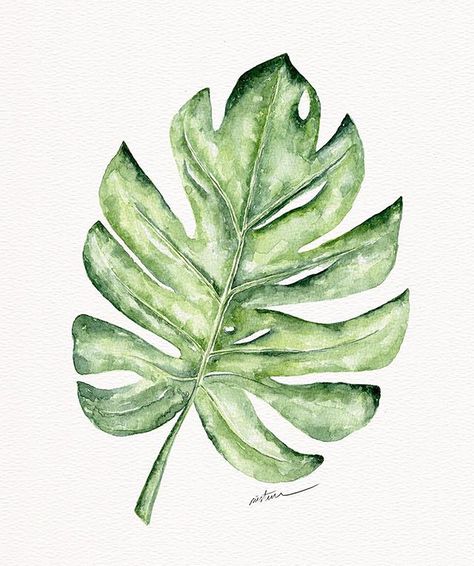 Painting Watercolor Flowers, Ideas For Painting, Painting Glass Jars, Abstract Techniques, Painted Vans, Watercolor Tropical, African Flowers, Watercolor Plants, Watercolor Ink