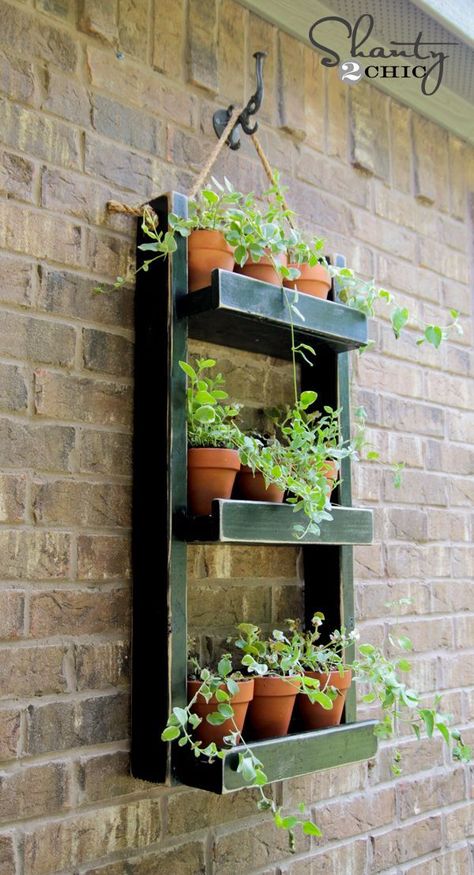 Hanging Herb Garden, Diy Hanging Planter, Hanging Wall Planters, Hanging Herbs, نباتات منزلية, Vertical Herb Garden, Large Tree, Indoor Herb Garden, Pallet Garden