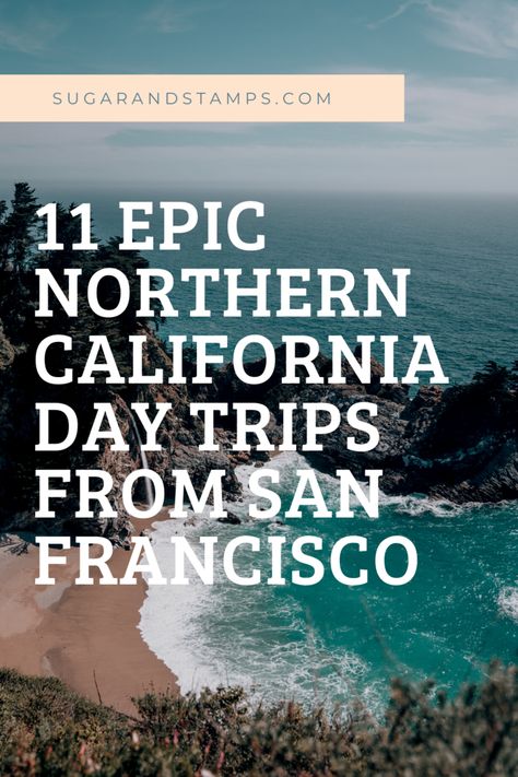 11 EPIC NORTHERN CALIFORNIA DAY TRIPS FROM SAN FRANCISCO — SUGAR & STAMPS California Poppy Tattoo, Point Reyes Lighthouse, Angeles Aesthetic, Los Angeles Aesthetic, Poppy Tattoo, Stinson Beach, Visit San Francisco, California Closets, Wine Country California