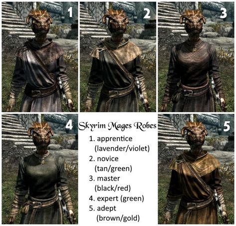 Lined up screenshots of an Argonian wearing the various mages' robes in Skyrim. Skyrim Mage Robes, Skyrim Mage, Mage Robes, Fantasy Clothing, Skyrim, Main Characters, Brown Gold, Black Red, Violet