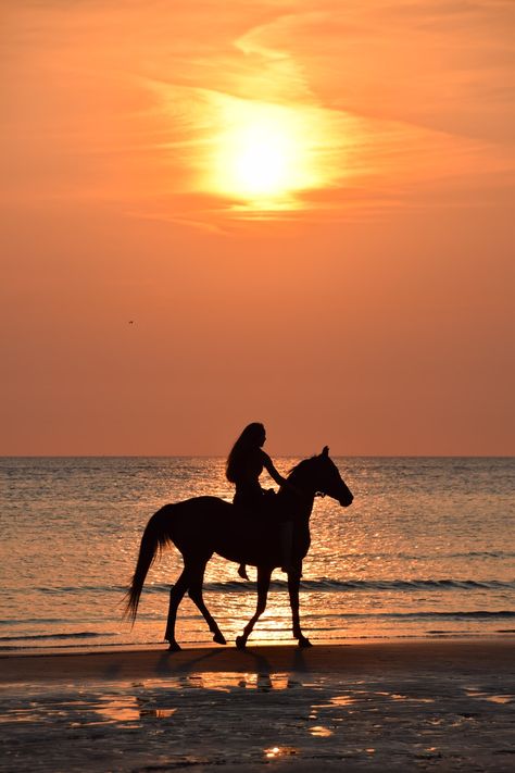 Thanks to Carolin Thiergart for making this photo available freely on @unsplash 🎁 Horse Riding Holiday, Woman Riding Horse, Horse Photography Poses, Riding Holiday, Beach Rides, Cute Horse Pictures, Beach At Sunset, St Simons Island, Horse Aesthetic