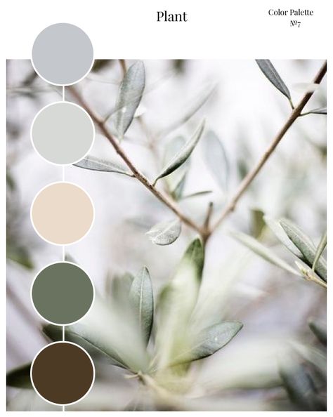 Asian Zen Interior Design, Zen Color Palette, Zen Interior Design, Plant App, Cottage Tiny House, Zen Interiors, Zen Colors, Color Pallete, Mood Colors