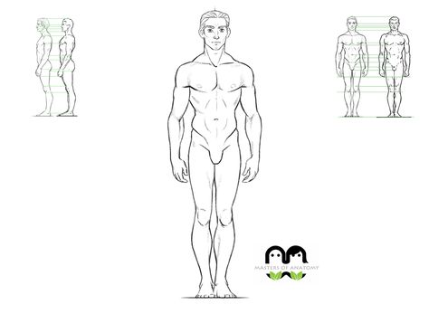 Male Body Turnaround Reference, Body Rotation Reference, Character Rotation Animation, Male Turnaround Reference, Male Turnaround, Character Rotation, Anatomy Books, Anatomy Male, Artistic Anatomy