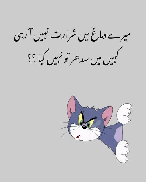 Friend Poetry, Urdu Funny Quotes, Art Quotes Funny, Funny Status, Funny Quotes In Urdu, Funny Poetry, Breaking Point, Funny Girly Quote, Bear Tattoo