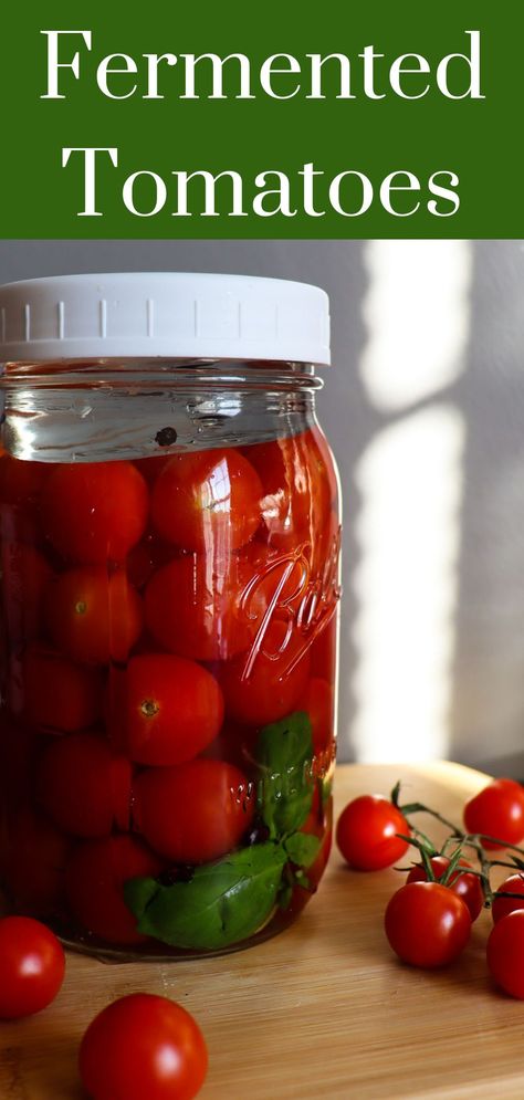 Fermented Tomatoes, Cherry Tomatoes Recipe, Recipes With Banana Peppers, Hot Banana Peppers, Kombucha Benefits, Kombucha Flavors, Butternut Squash Chili, Kombucha Recipe, Homemade Kombucha