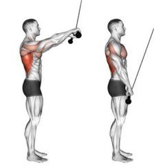 15 Teres Major And Teres Minor Strengthening Exercises - SET FOR SET Straight Arm Pulldown, Back And Bicep Workout, Rowing Workout, Cable Workout, Rear Delt, Body Training, The Rock Dwayne Johnson, Strengthening Exercises, Dwayne The Rock