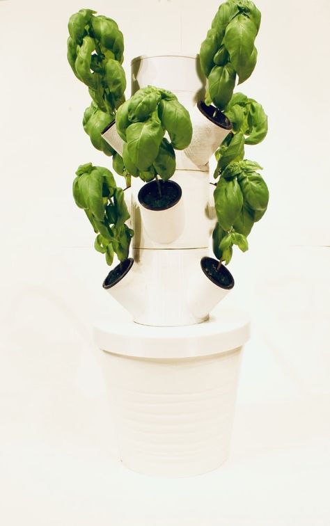 Hydroponic Garden, Hydroponic Farming, Hydroponics Diy, Ikea Ideas, Hydroponic Growing, Ikea Hackers, Hydroponics System, Hydroponic Gardening, Diy Tips