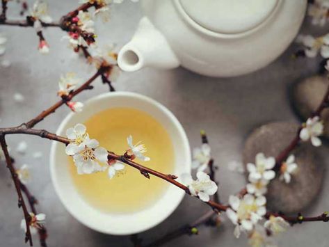 10 Impressive Benefits of White Tea Best Teas For Health, White Tea Benefits, Energy Tea, Tea Plant, Homemade Syrup, Health Tea, Hibiscus Tea, Tea Brands, Tea Benefits