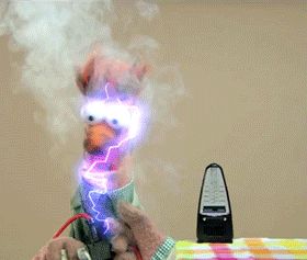 Beeker Muppet Gif, Beaker Muppets, Muppets Most Wanted, Sesame Street Muppets, Spongebob Funny, Famous Monsters, Funny Cartoon Gifs, Cartoon World, Digital Storytelling