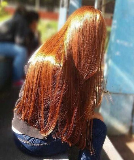 Brown To Light Brown Ombre, Dark Brown To Light Brown Ombre, Ombre Long Hair, Dark Brown To Light Brown, Long Hair Color Ideas, Light Brown Ombre, Costume Noir, Long Silky Hair, Ginger Hair Color