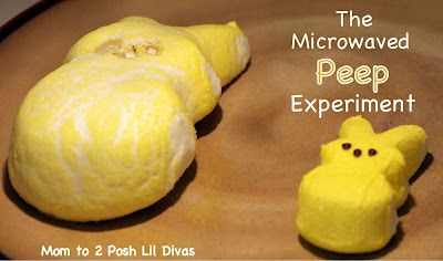 The Microwaved Peep Experiment - How big can they get when heated? You MUST try it to find out - your kids will enjoy this one! Peeps Party, Easter Science, Easter Theme, Easter Peeps, Easter Time, Spring Holidays, Easter Activities, Hoppy Easter, Kids Fun