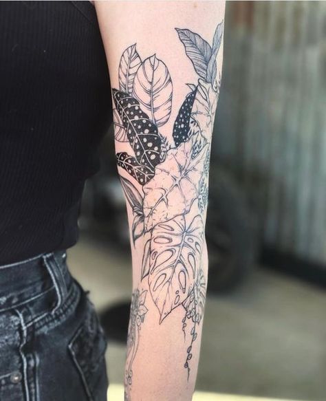 Full Arm Plant Tattoo, Linework Plant Tattoo, Jungle Foliage Tattoo, Arm Pieces Tattoo Women, Realism Plant Tattoo, Plant Tattoos Black And White, Ornamental Plant Tattoo, Plant Tattoo Ideas Sleeve, House Plant Sleeve Tattoo