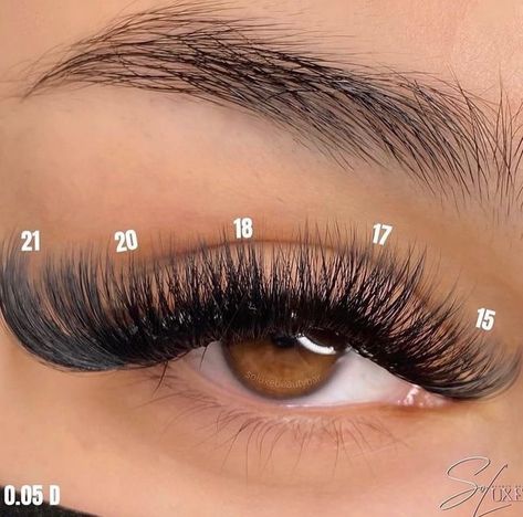 Long Island Lash Tech on Instagram: "Reposting the mapping to this volume set 🤎 𝐏𝐥𝐞𝐚𝐬𝐞 𝐯𝐢𝐬𝐢𝐭 𝐬𝐨𝐥𝐮𝐱𝐞𝐛𝐞𝐚𝐮𝐭𝐲𝐛𝐚𝐫.𝐚𝐬.𝐦𝐞 𝐟𝐨𝐫 𝐚𝐥𝐥 +, 𝐜𝐥𝐢𝐜𝐤 𝐥𝐢𝐧𝐤 𝐢𝐧 𝐛𝐢𝐨! #wispylashes #striplashes #explorepage #lashextensions #lashesonfleek #longlashes #dramaticlashes #lashmap #vegaslashtech #phillylashtech #nyclashtech #lashclass #miamilashtech #longislandlashes #queenslashtech #longislandlashtech" Cat Eye Volume Lash Extensions Mapping, Volume Cat Eye Mapping, Volume Wispy Eyelash Extensions Cat Eye, Volume Lash Extensions Styles Cat Eye, Cateye Volume Eyelash Extensions, Long Cat Eye Lash Extensions, Volume Cat Eye Lash Extensions Mapping, Volume Lash Extensions Cat Eye, 20mm Lash Extensions