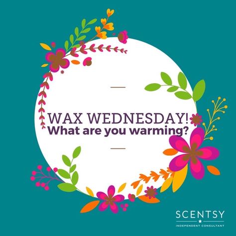 Scentsy Wax Wednesday, Wax Wednesday, Scentsy Host, Scentsy Consultant Ideas, Scentsy Business, Scentsy Party, Scentsy Wax Bars, Scentsy Independent Consultant, Scentsy Fragrance