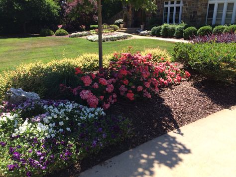 Coral Drift Roses Drift Roses In Containers, Peach Drift Roses Landscape Ideas, Popcorn Drift Rose, Coral Drift Rose, Pink Drift Rose, Drift Roses, Best Roses, Silk Plants, Garden Roses