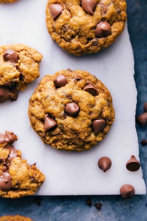 Pumpkin Oatmeal Chocolate Chip Cookies Chocolate Chip Cookie Recipe Chewy, Pumpkin Oatmeal Chocolate Chip, Pumpkin Oatmeal Chocolate Chip Cookies, Fresh Pumpkin Recipes, Oat Chocolate Chip Cookies, Oatmeal Pumpkin, Oatmeal Chocolate Chip Cookie, Chewy Chocolate Chip Cookies Recipe, Pumpkin Chip