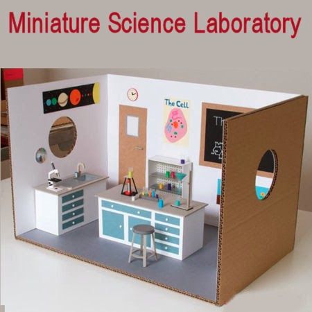 Laboratory Decorations, Miniature Classroom, Miniature Medical, Miniature School, Microbiology Lab, Science Laboratory, Medical Laboratory Science, Barbie Diorama, Chemistry Labs