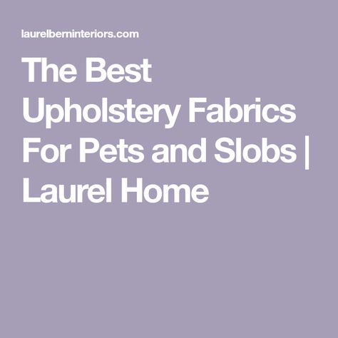 The Best Upholstery Fabrics For Pets and Slobs | Laurel Home Best Fabric For Sofa, Contemporary Leather Sofa, Cleaning Guide, Upholstery Fabrics, Wing Chair, Serena & Lily, Best Sofa, Furniture Fabric, Cotton Velvet