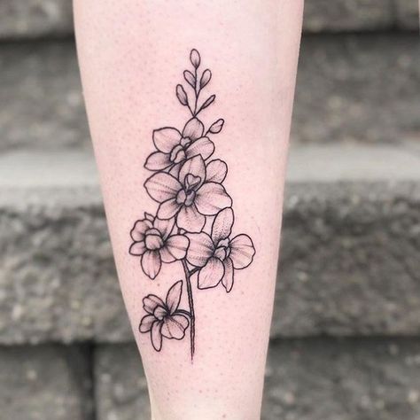 Larkspur Black And White Tattoo, Larkspur Flower Tattoo Design, Larkspur Flower Tattoo Black And White, Larkspur Tattoo Simple, Larkspur Flower Tattoo Small, Larkspur Tattoo Design, Larkspur Flower Drawing, Delphinium Flower Tattoo, Larkspur And Water Lily Tattoo