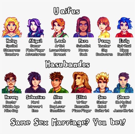 Stardew Valley Shane, Stardew Valley Layout, Stardew Valley Tips, Stardew Valley Farms, Stardew Valley Fanart, Stardew Valley, Best Anime Shows, Best Games, Animal Crossing