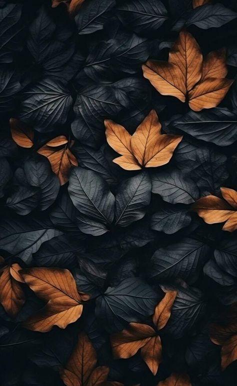 A dark background with many leaves in the foreground Dark Leaves Aesthetic, Dark Leaves, Dark Fall, Fallen Leaves, Dark Background, Autumn Theme, Phone Backgrounds, Dark Backgrounds, Jon Snow